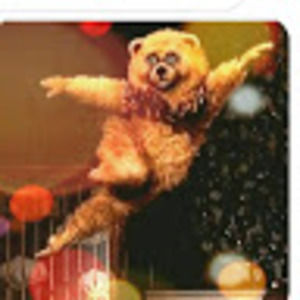 Meet your Posher, Paw